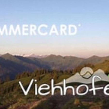 Bichl Viehofen Apartamento Saalbach-Hinterglemm Exterior foto